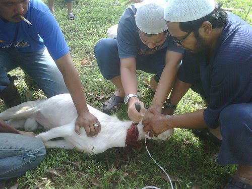 Sembelihan Syarie: Asas & Praktikal